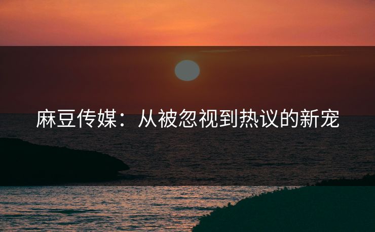 麻豆传媒:从被忽视到热议的新宠