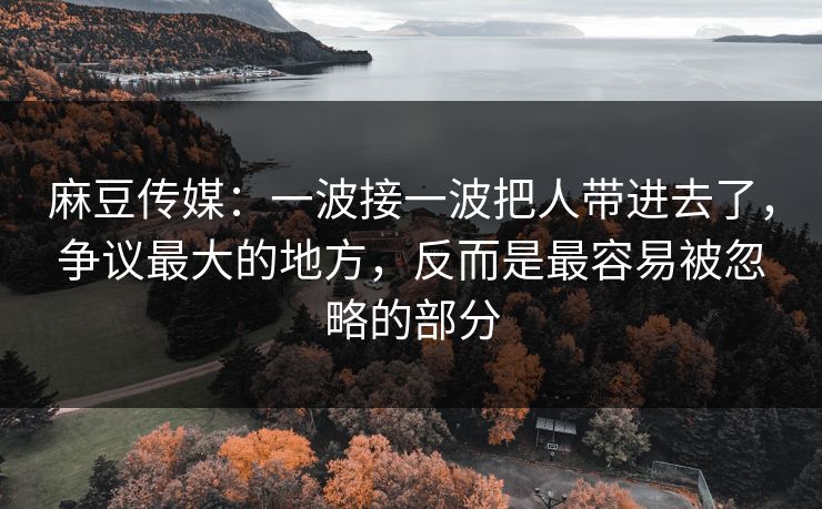 麻豆传媒：一波接一波把人带进去了，争议最大的地方，反而是最容易被忽略的部分