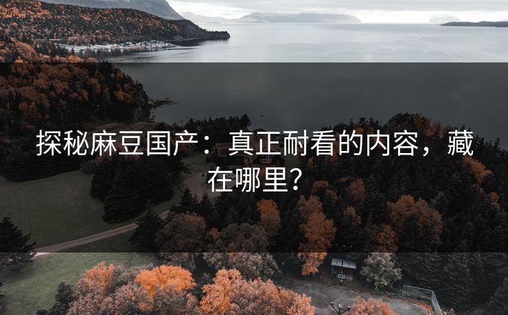 探秘麻豆国产:真正耐看的内容,藏在哪里? 探秘麻豆国产:真正耐看的内容,藏在哪里?